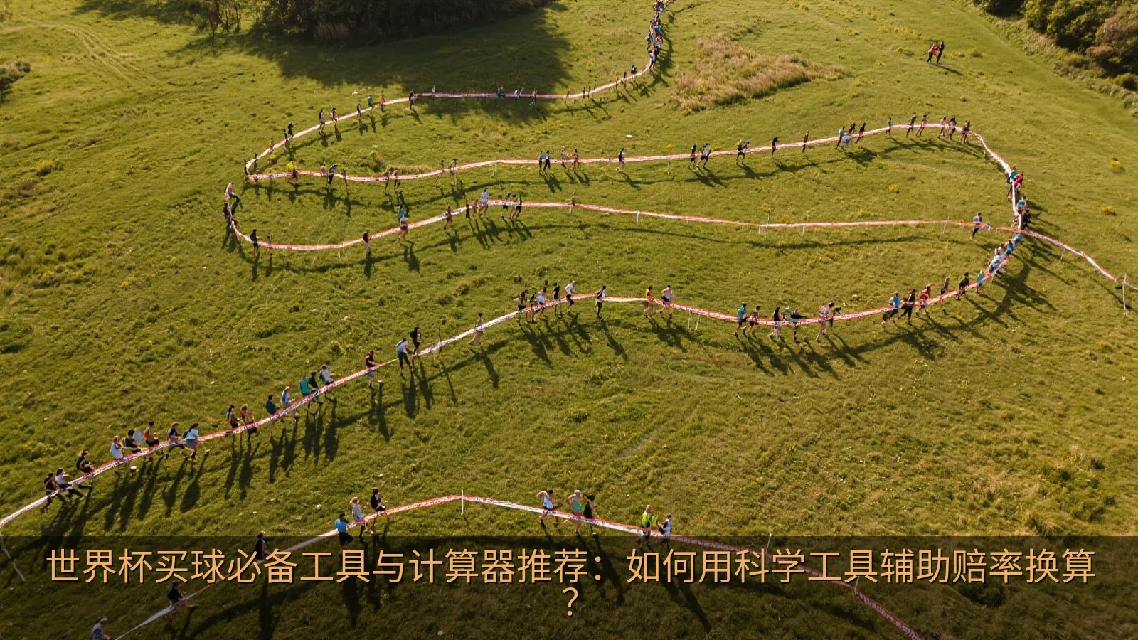 赔率换算器与体育数据分析界面